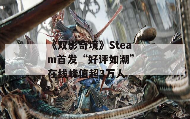 《双影奇境》Steam首发“好评如潮” 在线峰值超3万人