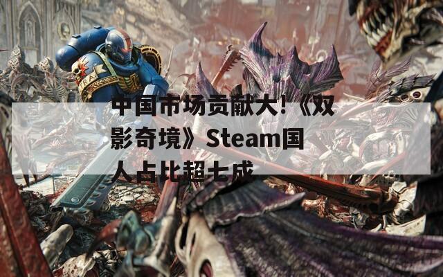 中国市场贡献大!《双影奇境》Steam国人占比超七成