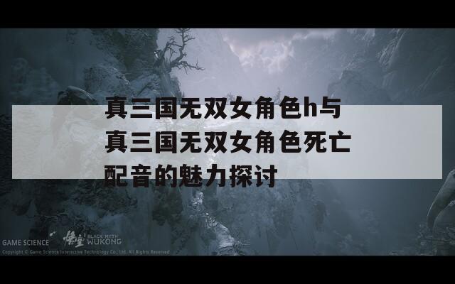 真三国无双女角色h与真三国无双女角色死亡配音的魅力探讨